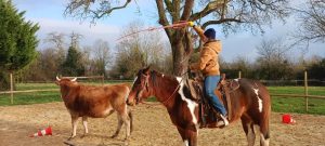 Entrainement au lasso