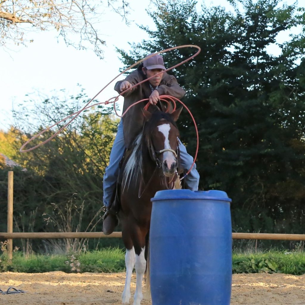 travail du cheval au ranch de la boscraie en Normandie