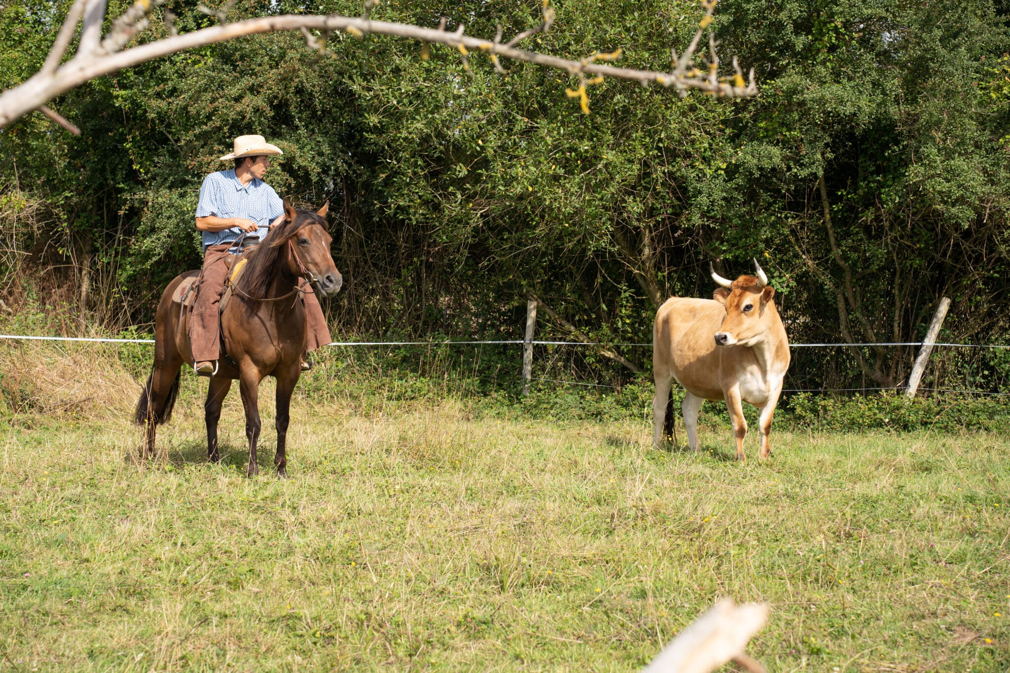 Vie du ranch : entrainement au quotidien - Ranch de la boscraie